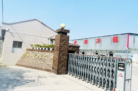 川穹基地_什邡市岐輝農(nóng)業(yè)有限公司【官網(wǎng)】,什邡川芎,彭什川芎現(xiàn)代農(nóng)業(yè)產(chǎn)業(yè)園區(qū)企業(yè)