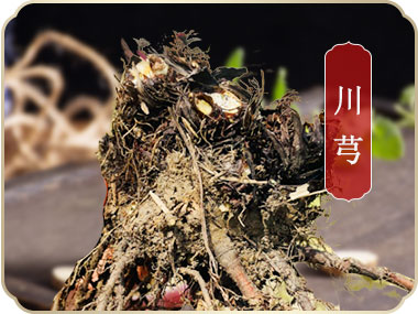 什邡市岐輝農(nóng)業(yè)有限公司【官網(wǎng)】,什邡川芎,彭什川芎現(xiàn)代農(nóng)業(yè)產(chǎn)業(yè)園區(qū)企業(yè)