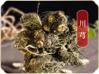 什邡市岐輝農(nóng)業(yè)有限公司【官網(wǎng)】,什邡川芎,彭什川芎現(xiàn)代農(nóng)業(yè)產(chǎn)業(yè)園區(qū)企業(yè)