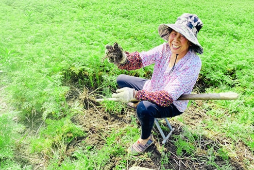 什邡市岐輝農(nóng)業(yè)有限公司【官網(wǎng)】,什邡川芎,彭什川芎現(xiàn)代農(nóng)業(yè)產(chǎn)業(yè)園區(qū)企業(yè)