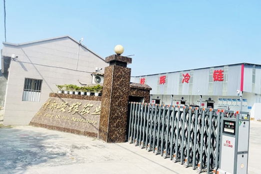 什邡市岐輝農(nóng)業(yè)有限公司【官網(wǎng)】,什邡川芎,彭什川芎現(xiàn)代農(nóng)業(yè)產(chǎn)業(yè)園區(qū)企業(yè)