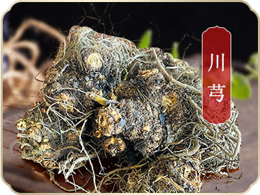 什邡市岐輝農(nóng)業(yè)有限公司【官網(wǎng)】,什邡川芎,彭什川芎現(xiàn)代農(nóng)業(yè)產(chǎn)業(yè)園區(qū)企業(yè)